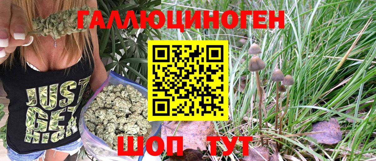 Псилоцибиновые грибы мицелий Гулькевичи