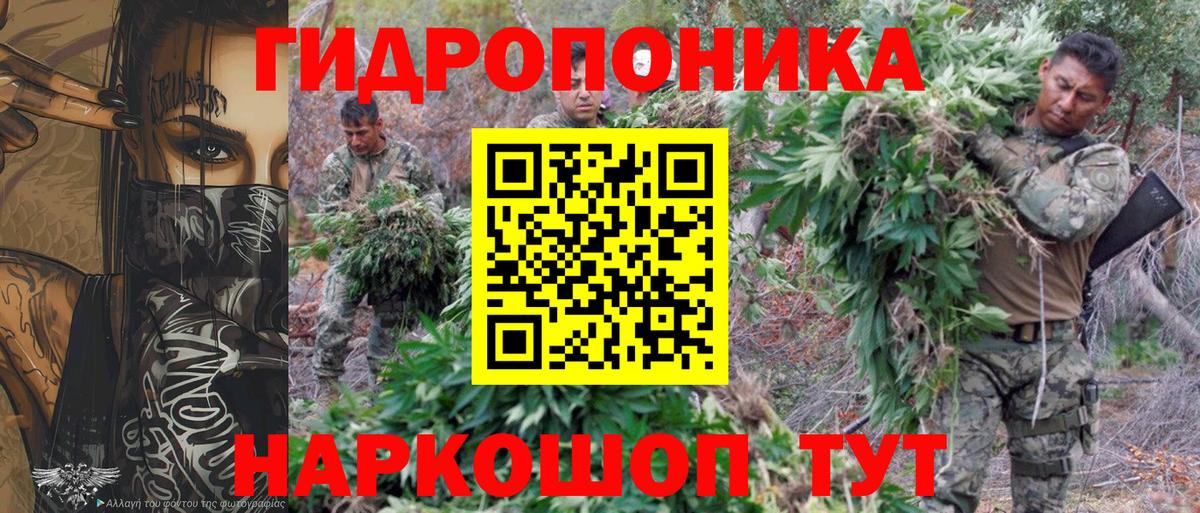 Бошки марихуана индика Гулькевичи
